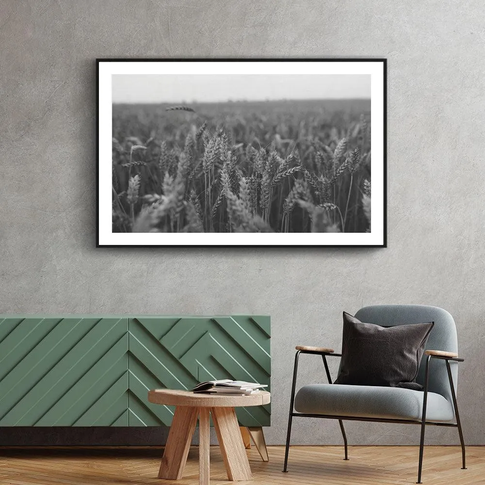 Field Of Barley